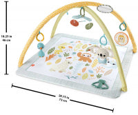 Fisher Price Sensimals Newborn Gym
