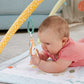 Fisher Price Sensimals Newborn Gym