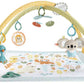 Fisher Price Sensimals Newborn Gym