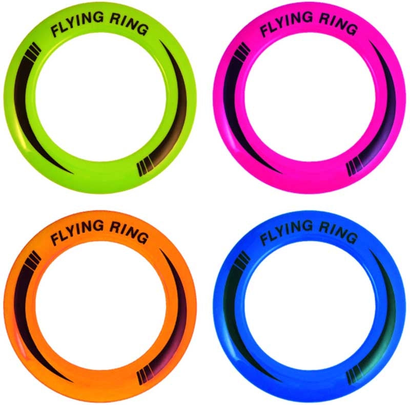 Flying Disc 25cm Assorted