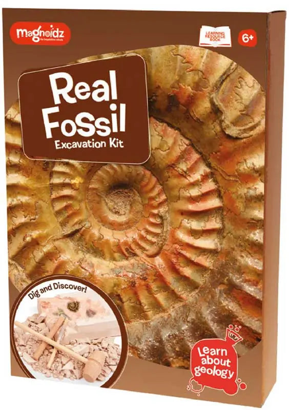 Fossil Dig Kit