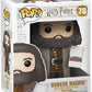 Funko Pop Hp: s5 - 6inch Hagrid W/ Cake