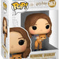 Funko Pop Movies: Hp Poa - Hermione W/crookshanks