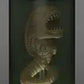 Funko Pop Premium Sfx: Alien s2 - Xenomorph