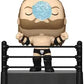 Funko Pop Premium: Wwe - Triple H - Ring Entrance