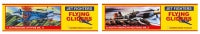 Gliders Plane Jet 20cm Assorted