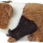 Guinea Pig Plush Stuffed Animal Toy - Small