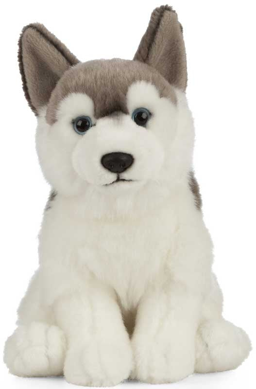 Husky Plush Stuffed Animal Toy