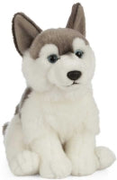 Husky Plush Stuffed Animal Toy
