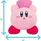 Kirby Friend Heart Mega