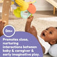 Lamaze Buzzy The Bee