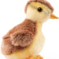 Mallard Duckling Plush Stuffed Animal Toy