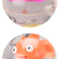 ocean-pal-blinkers-assorted