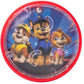 Paw Patrol Bubble Maze