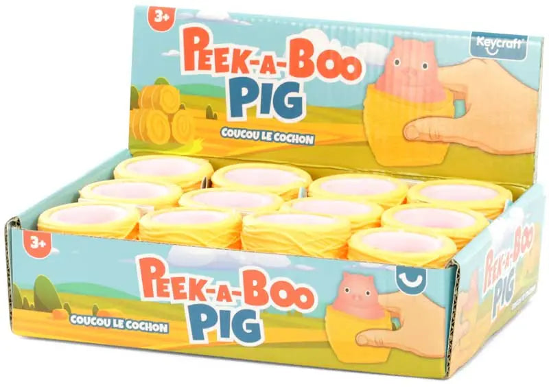 Peek A Pig Sensory Toy