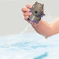 Peppas Pool Party