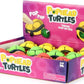 Pop Head Turtles Assorted