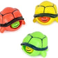 Pop Head Turtles Assorted