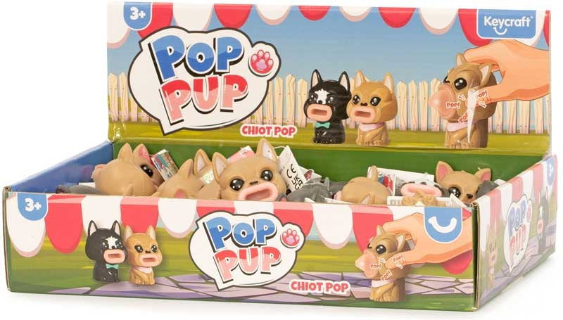Pop Pup Sensory Toy Assorted