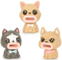 Pop Pup Sensory Toy Assorted