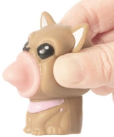 Pop Pup Sensory Toy Assorted