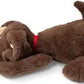 Pound Puppies Weighted Snuggles Plush - Dark Bown With Long