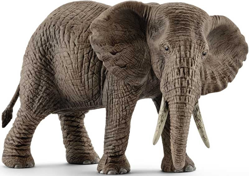 Schleich African Elephant Female