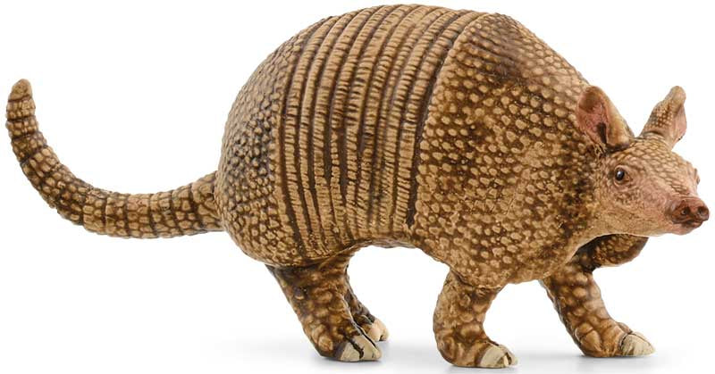 Schleich Armadillo