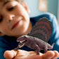 Schleich Dimetrodon