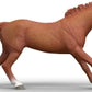Schleich Engl Thor Stallion