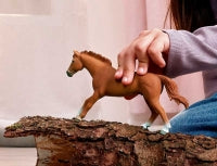 Schleich Engl Thor Stallion