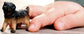 Schleich German Shepherd Puppy