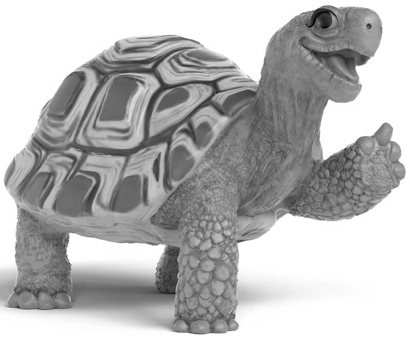Schleich Henrietta The Turtle