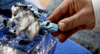 Schleich Ice Rodent