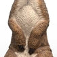Schleich Meerkat
