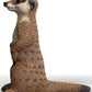 Schleich Meerkat