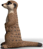 Schleich Meerkat