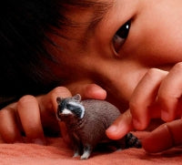 Schleich Racoon