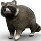 Schleich Racoon