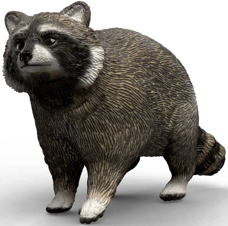 Schleich Racoon