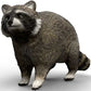 Schleich Racoon