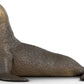 Schleich Sea Lion