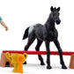 Schleich Show Victory With Snowy