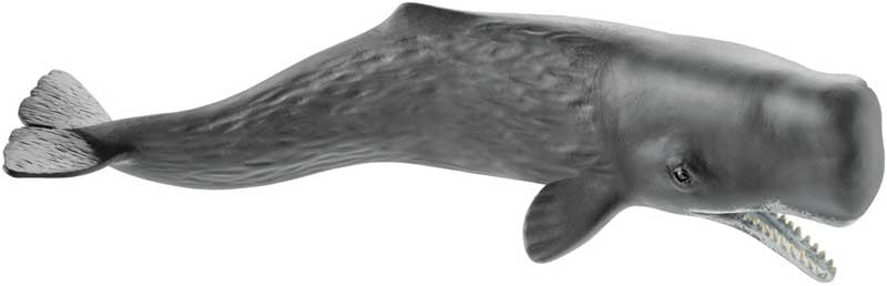 Schleich Sperm Whale
