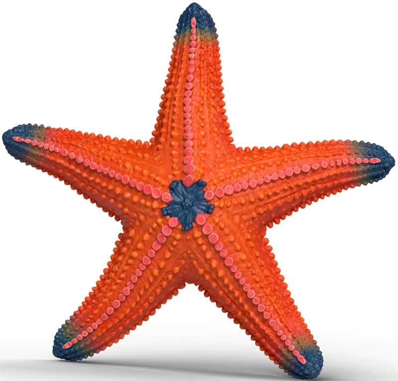 Schleich Starfish Color Change