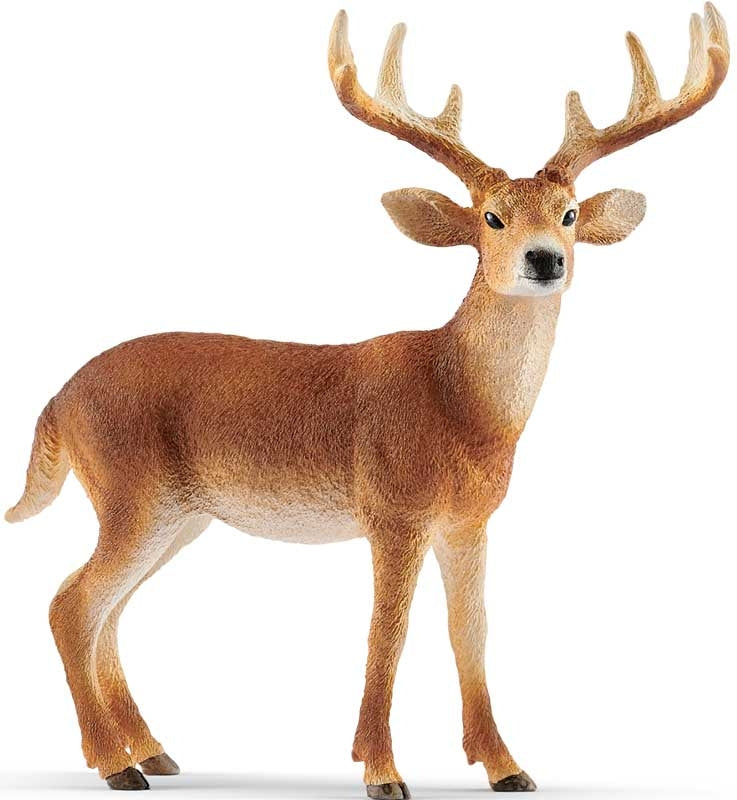 Schleich White-tailed Buck