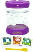 Sea Monkeys Ocean Zoo Assorted - UK Only