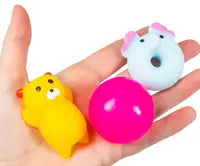 Sensory Squish Set Assorted