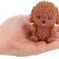 Squeeze Dog Assorted
