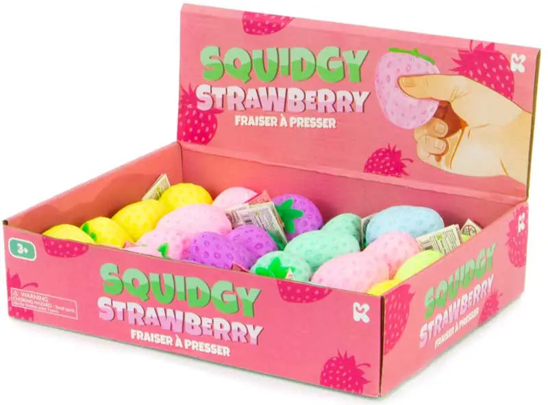 Squidgy Strawberry Assorted
